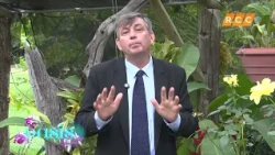Oasis del Alma 2026 - Español 03