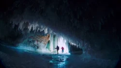 Movie Trailer: Into Americas Wild | Journy TV