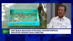 Minister Trenggono & the Ministry of Marine Affairs and Fisheries' Strategy to Combat Lobster See...