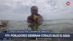 🚨 FIJI PROTECTS MARINE LIFE | Locals plant corals in the ocean #26Global