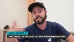 Debt in the agricultural sector: Mato Grosso producers face difficulties financing their harvest