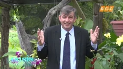 Oasis del Alma 2026 - Español 02