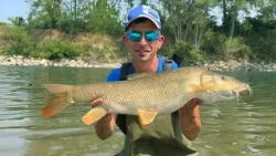Freewater - Giant Barbel with Moving Feeder - Colmic Feeder (Colmic)