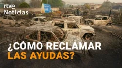 Estas son las ayudas que va a aprobar el gobierno para los afectados de los incendios | RTVE