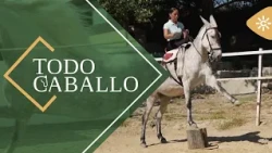 TodoCaballo | A couple from Ronda revolutionizes the equestrian show by training performing mules
