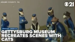Amazing America 250: Gettysburg Cat Museum display brings furry take on history