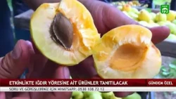 GÜNDEM ÖZEL | Muhammet Çaça - Selahattin Özgündüz - Öztürk Altuntaş - İzzet Kaya