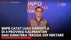 BNPB Catat Luas Karhutla di 4 Provinsi Kalimantan dan Sumatera Tersisa 359 Hektare | IDXC UPDATE