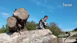 TrialGP stand van zaken woensdag (02-09-2026)