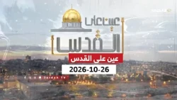 عين على القدس | فتاوي إرهاب وتحريض تلمودي تبيح سرقة زيتون وأملاك الفلسطينيين