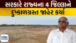 Gujarat Drought News | દ્વારકા, કચ્છ, જામનગર, પોરબંદર દુષ્કાળગ્રસ્ત જાહેર | Gujarat News