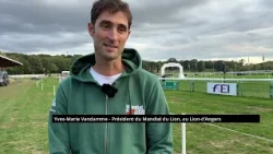 THE LION WORLD CHAMPIONSHIP IS ON!