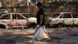 New heatwave, wildfire alert remains high in Europe