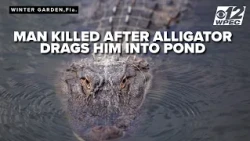 Elderly man killed after nearly 12-foot alligator drags him into Winter Garden pond