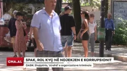 SPAK, ROL KYÇ NË NDJEKJEN E KORRUPSIONIT/  DASH: Shqipëria, ‘strehë’ e organizatave kriminale
