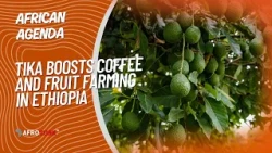 AFROTURK TV | TİKA strengthens sustainable coffee and fruit cultivation in Ethiopia