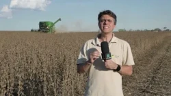Itapetininga farm reaches nearly 96 bags of soybeans per hectare