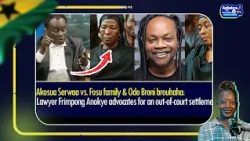 Akosua Serwaa and Ernestina Fosu( Daddy lumba’s sister) invite the Germany Federal Criminal Police
