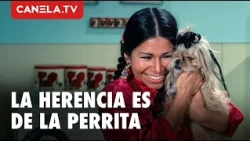 She Left Her Entire Fortune To A Puppy 😱 Fear Rides No Donkey (1973) | La India María | Canela.TV