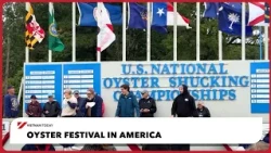 Oyster festival in America | Vietnam Today