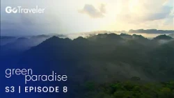 Green Paradise | S3E8 | Belize - Jungle and Coral