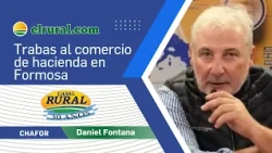 Pressure on Livestock Auctioneers: The Fight with Paoltroni as the Catalyst
