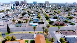 Drone Moments of Zen | Willow District