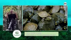 HYPERCONSERVATIONISM AND ITS EFFECTS ON THE AMAZON