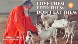 Love them ...Feed them ...WORLD ANIMAL DAY #Vishwaguruji #podcast