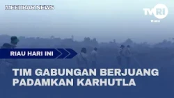 JOINT TASK FORCE STRUGGLES TO EXTINGUISH FOREST AND LAND FIRES