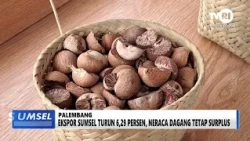 SUMSEL TODAY - SOUTH SUMATRA EXPORTS DOWN 6.29 PERCENT, TRADE BALANCE REMAINS IN SURPLUS