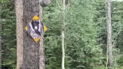 Man airlifted from Boulder County mountains not attacked by bear, officials say