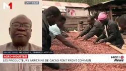 Les géants africains du cacao s'allient pour protéger leur production - Le point avec Bakary Sambe