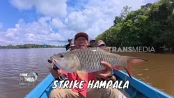 Sensasi Sambaran Predator Danau Empangau | MANCING MANIA STRIKE BACK (25/10/26) P1