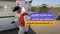 UN Campaign to Remove Waste and Combat Rodents in Deir al-Balah City