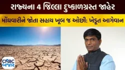 Gujarat Drought Relief | મોંઘવારીને જોતા સહાય ખૂબ જ ઓછી: ખેડૂત આગેવાન | Gujarat Farmer News