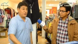 2  programa de publilike
