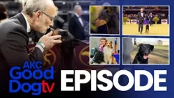 37 Years Later He Won Westminster Again With a Doberman | AKC Good Dog TV