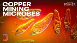 Why Copper Miners Are Turning to Microbes | Bloomberg Primer