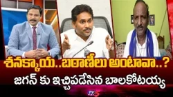 శనక్కాయ..బఠాణీలు అంటావా..? Balakotaiah Strong Counter To Ys Jagan Over Comments On Pension - TV5