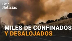 Breaking News: Wildfires | Madrid Government Delegate speaks | RTVE News