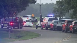3 dead, several injured in shooting at Savannah Williamson Community Park