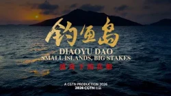 Diaoyu Dao: Small Islands, Big Stakes