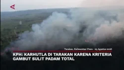 KPH: Karhutla di Tarakan Karena Kriteria Gambut Sulit Padam Total | Menyapa Nusantara