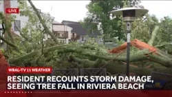 Resident recounts storm damage, seeing tree fall