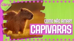 FOFA, MEIGA E INOFENSIVA, SERÁ? | GIRO DA VIT