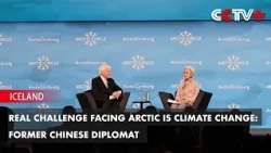 Real Challenge Facing Arctic Is Climate Change: Former Chinese Diplomat