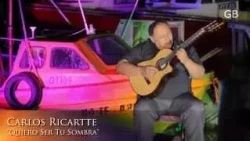 Carlos Ricartte - Quiero Ser Tu Sombra (Gala de La Bahía 2014)
