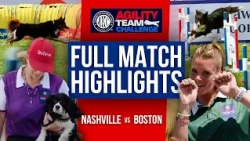 Boston vs Nashville | AKC Agility Team Challenge | USA 250