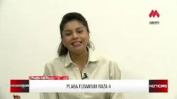 ROSA CUACES WARNS OF SEVERE NEGLECT IN THE RURAL SECTOR | MAJESTAD TV